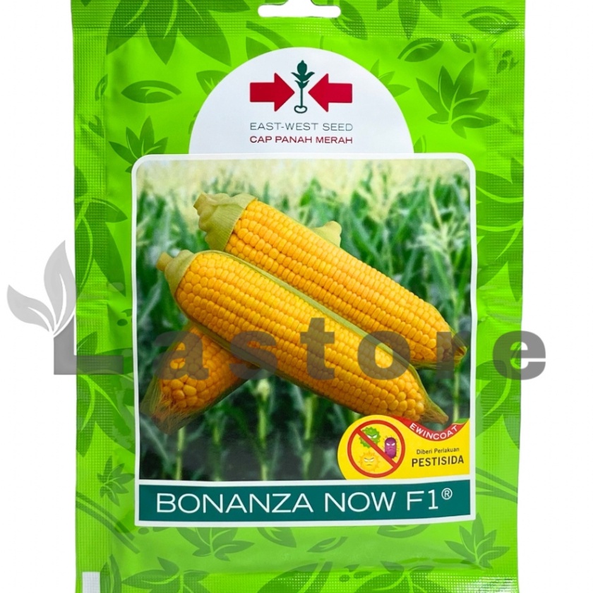 FG2 Benih Jagung Manis BONANZA NOW F1 2 Butir Cap Panah Merah