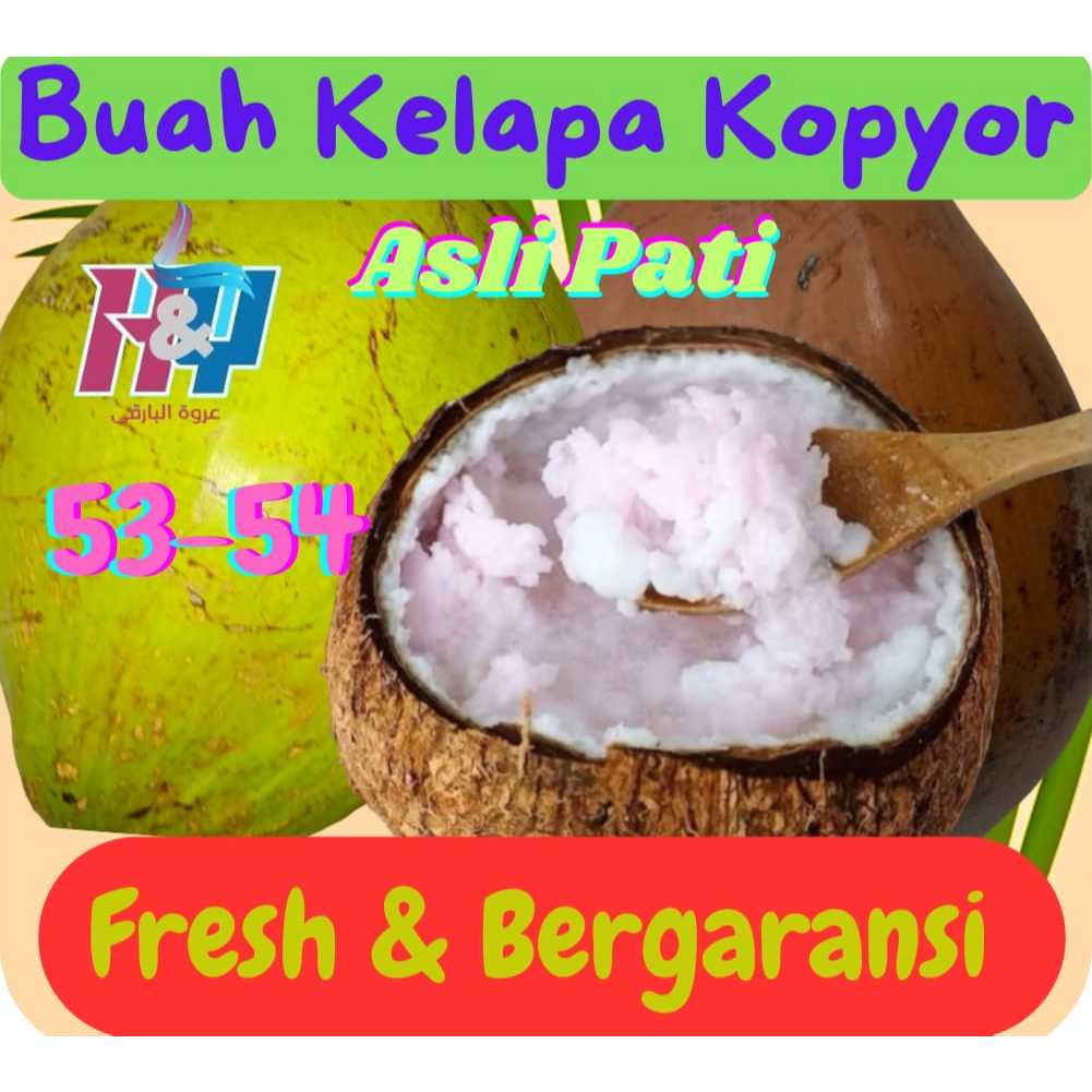 

Buah Kelapa Kopyor [size: 53-54] Asli Pati.