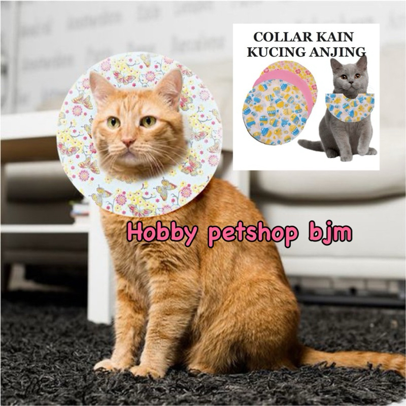 Collar Kain corong kucing hewan