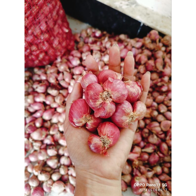 

bawangmerahmurahmeriah