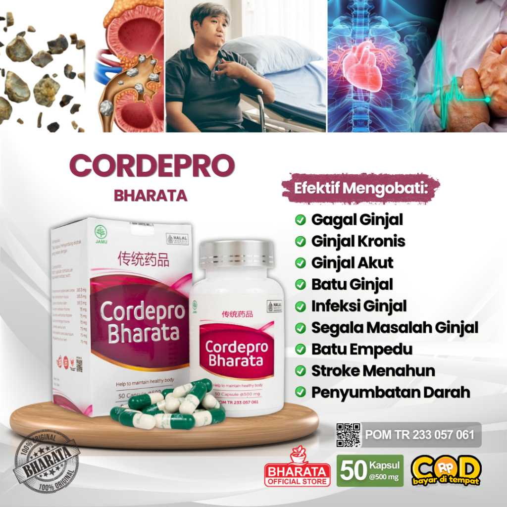 Cordepro Bharata - Obat Epilepsi Gagal Ginjal Stroke Penyumbatan Darah 50 Kapsul Ori
