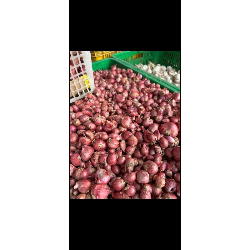 

BAWANG MERAH Probolinggo Bamer Bawang Merah 1kg