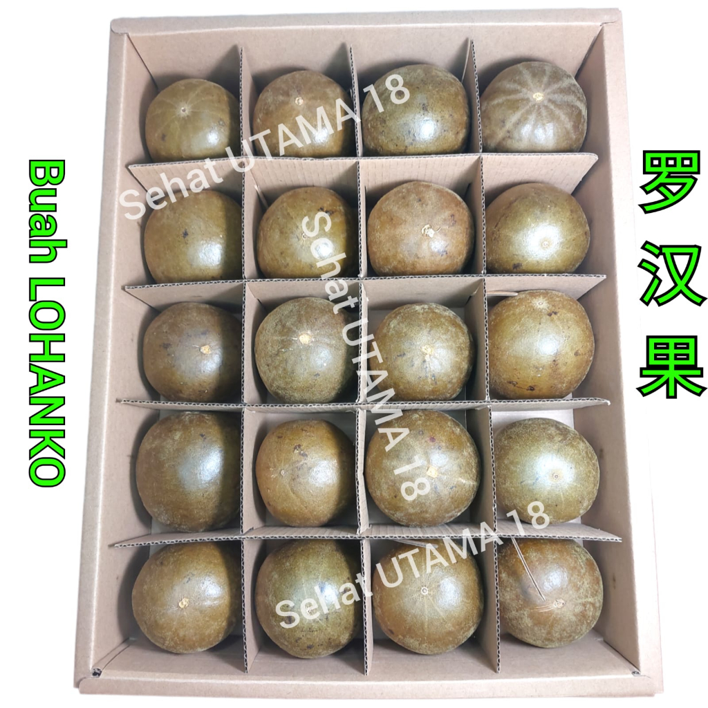 

(20 Buah) Buah Lo Han Kuo Ukuran Besar / Lohankuo / Lo han Ko 罗汉果