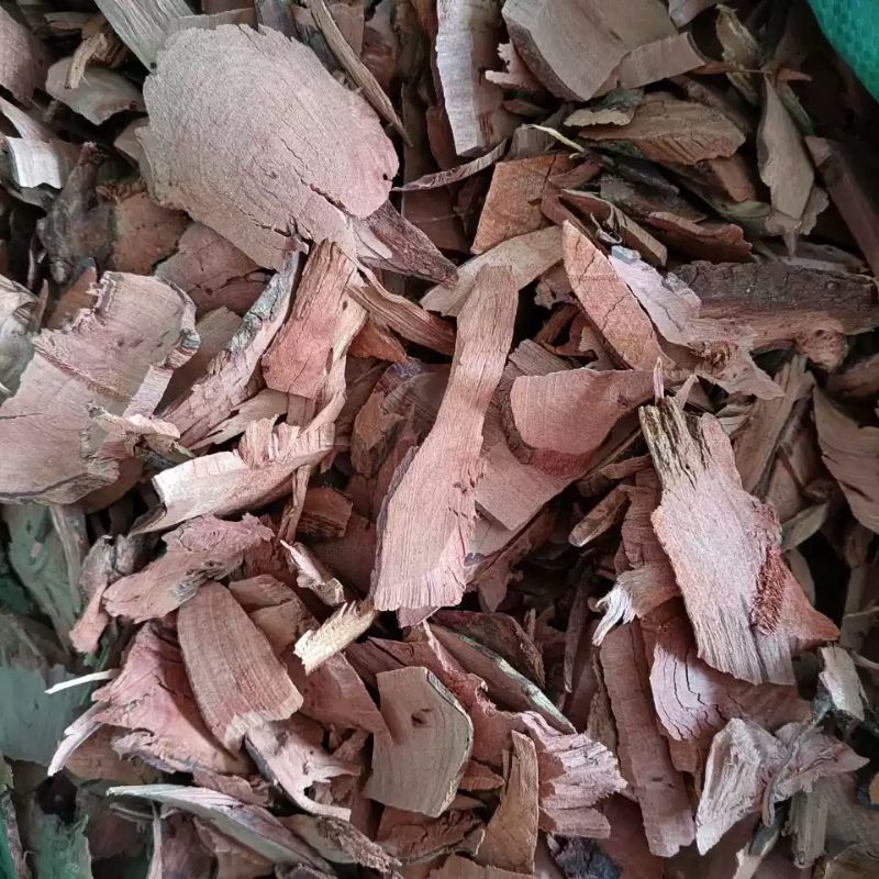 

600 G GR GRAM GANG NIAN GEN 岗稔根 DOWNY ROSEMYRTLE ROOT