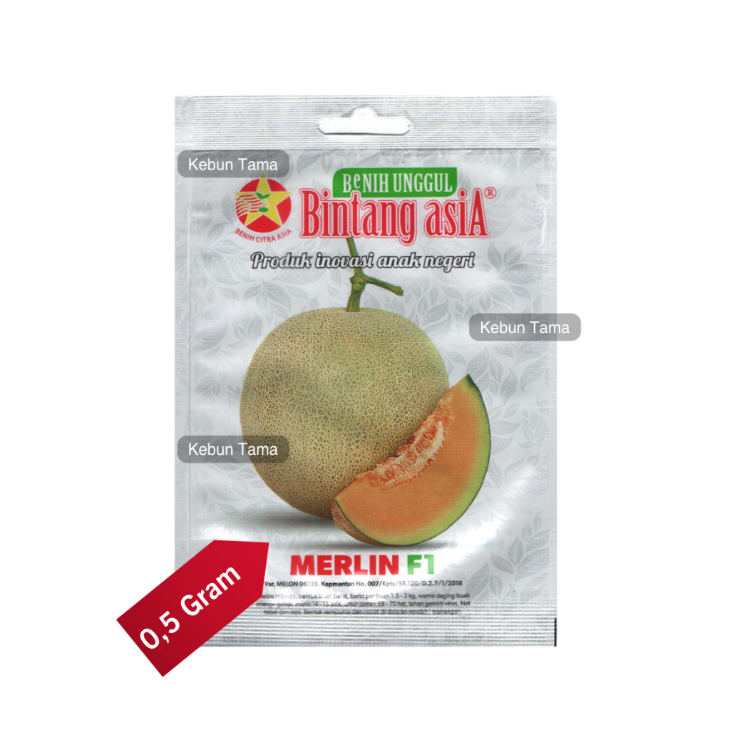 Benih Melon Merlin F1 Melon Orange Bintang Asia