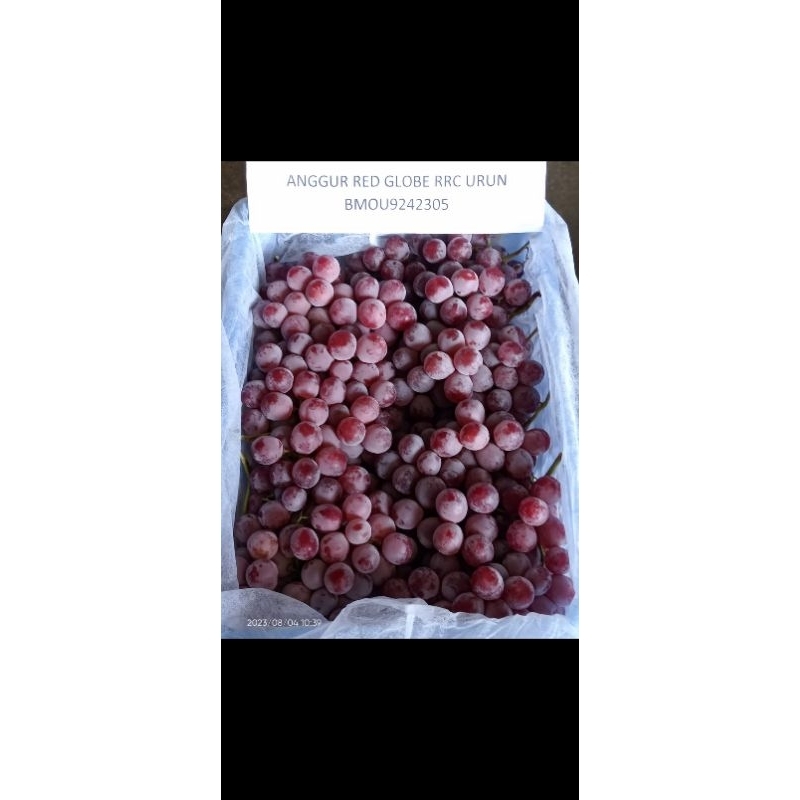 

anggur red globe per keranjang 5kg buah