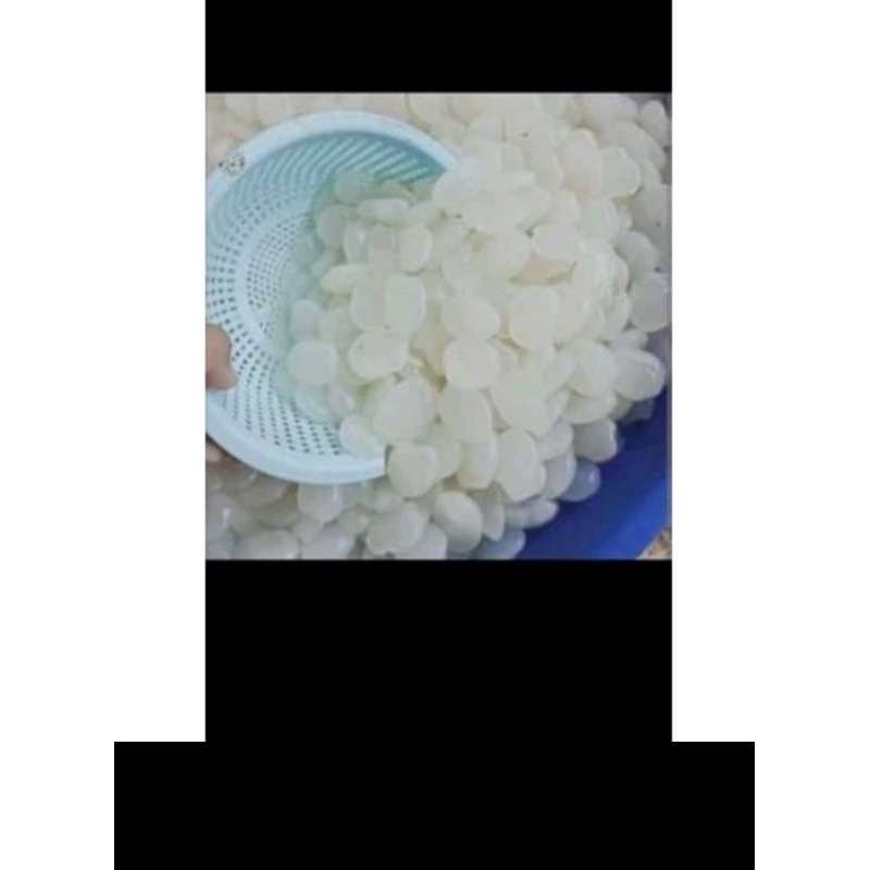 

Buah kolang kaling mentah