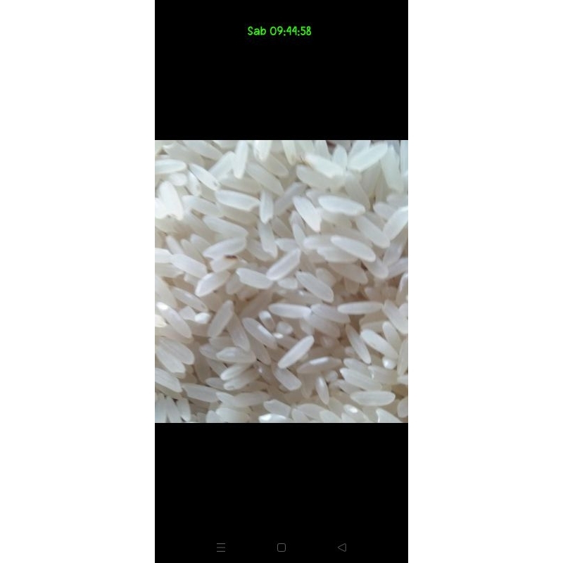 

Beras ASLI SELEP kemasan 5kg