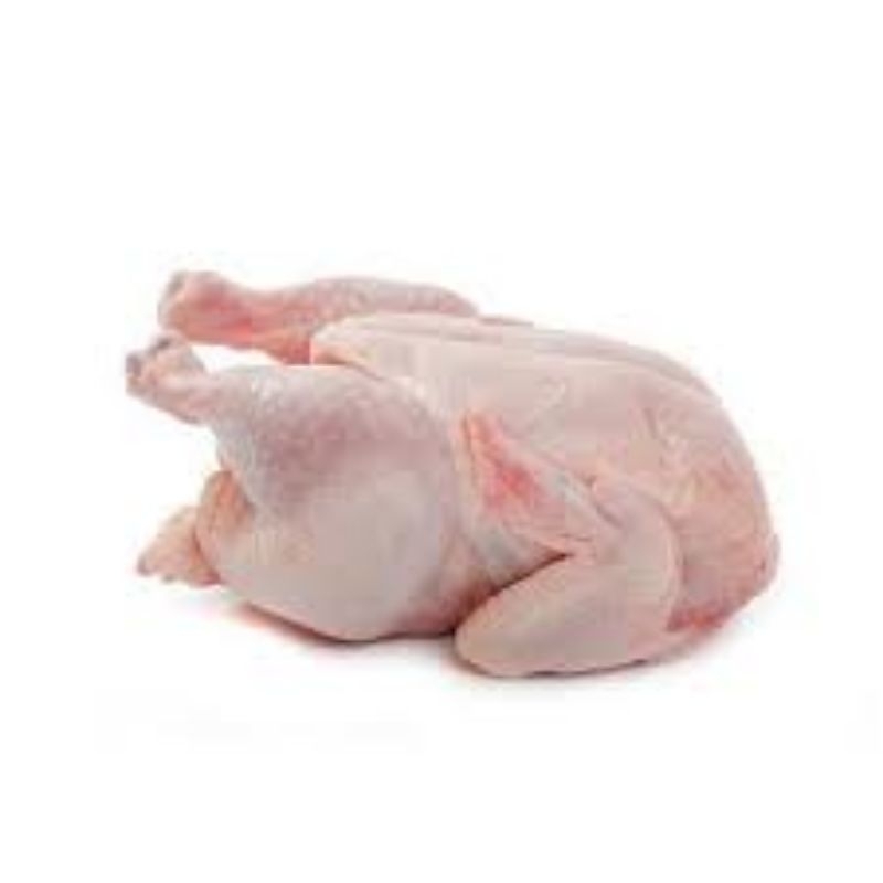 

Ayam Karkas Utuh Beku ukuran 0.8/1.0/1.5 kg