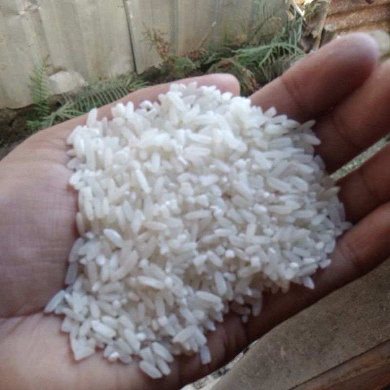 

beras putih 1kg