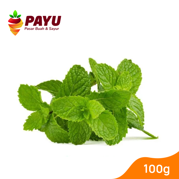 

Daun Mint Fresh [100g]