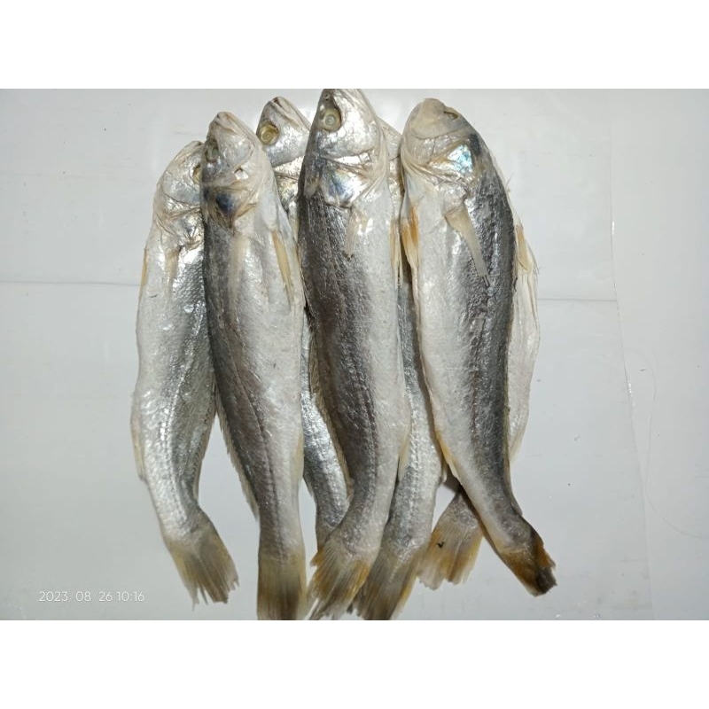 

Ikan Asin Sangge Samge Panjang Ikan Asin Medan 250 gram