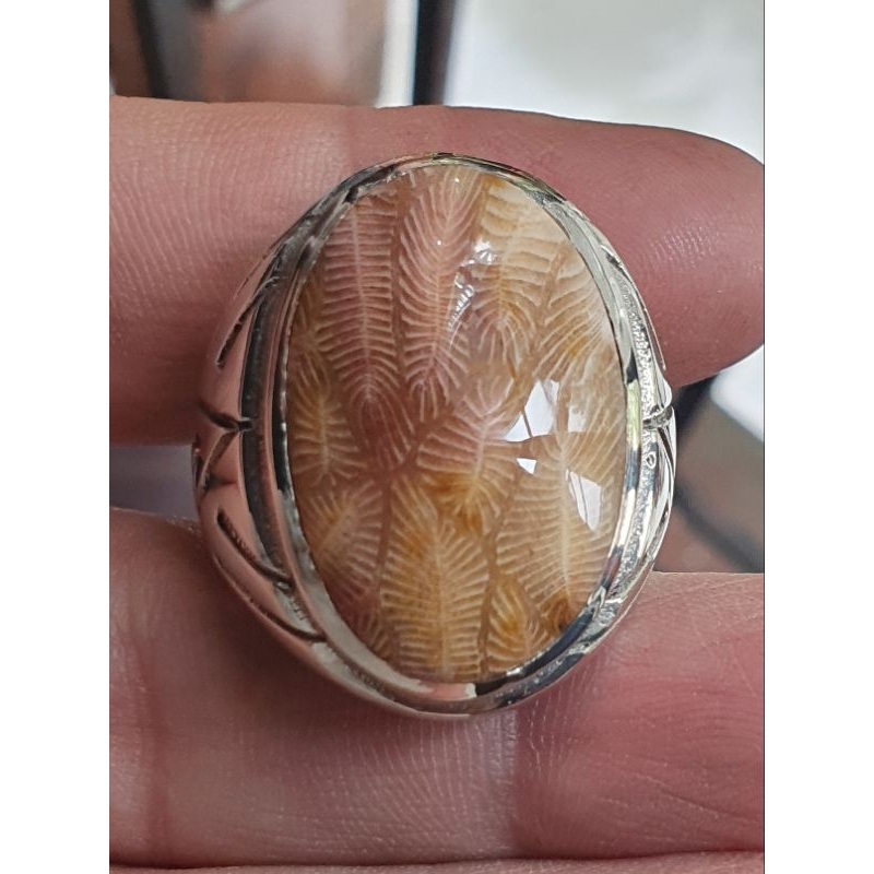 Batu akik motif kelabang