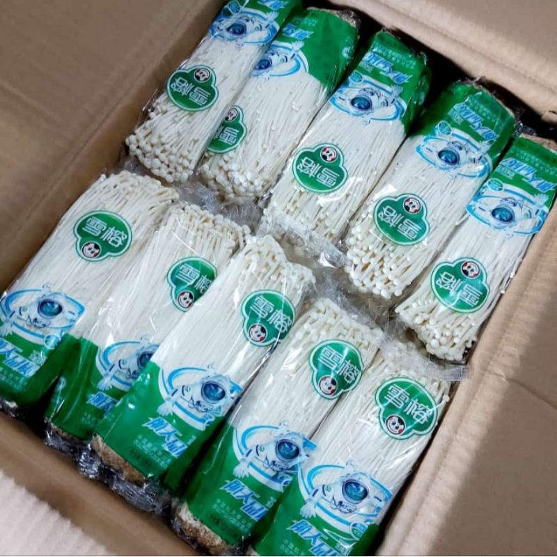 

Jamur Enoki (Khusus area Jogja, karena hanya tahan sehari)