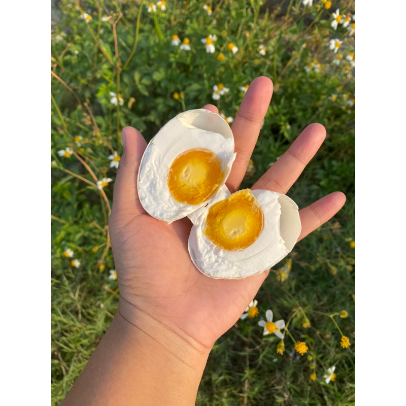 

TELUR ASIN MASIR CANGKANG HIJAU