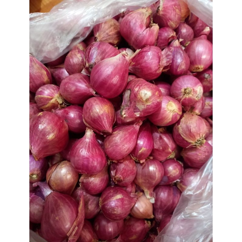 

Bawang Merah 1 kg - Bawang Putih (Kating/Sinco) 1kg