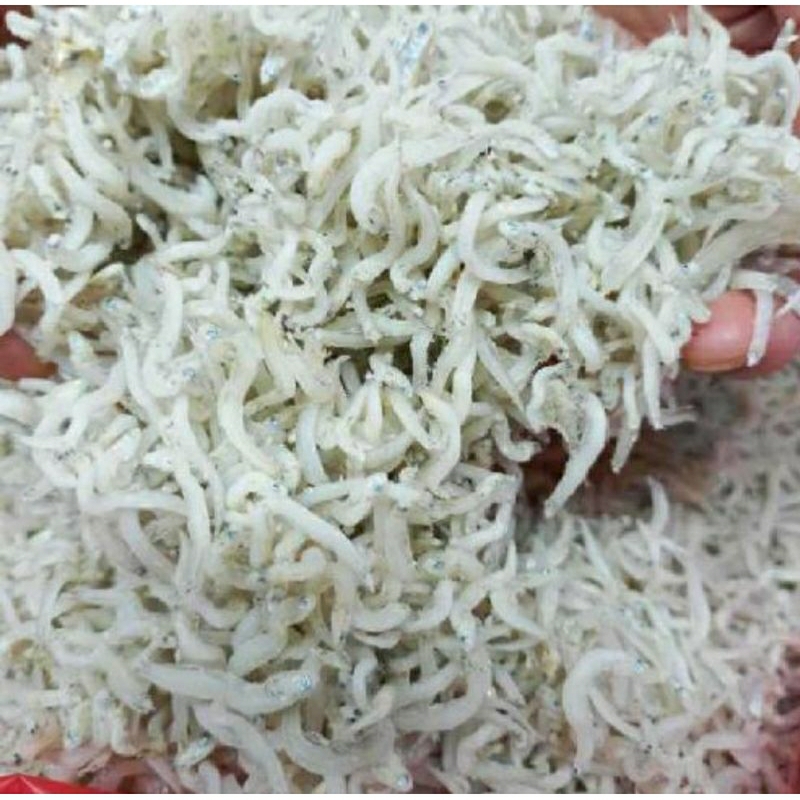 

ikan teri medan