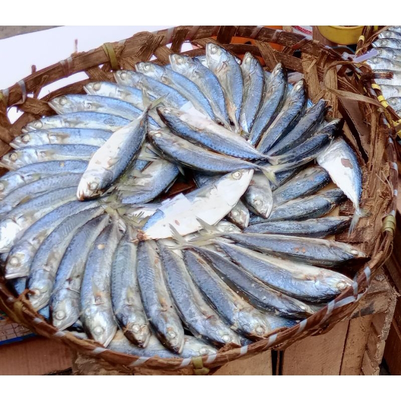

Ikan Rebus Berat 250 - 300 gram