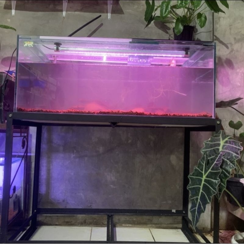 Rak Aquarium 2 susun 50 x 100 / Rak murah / Rak Besi