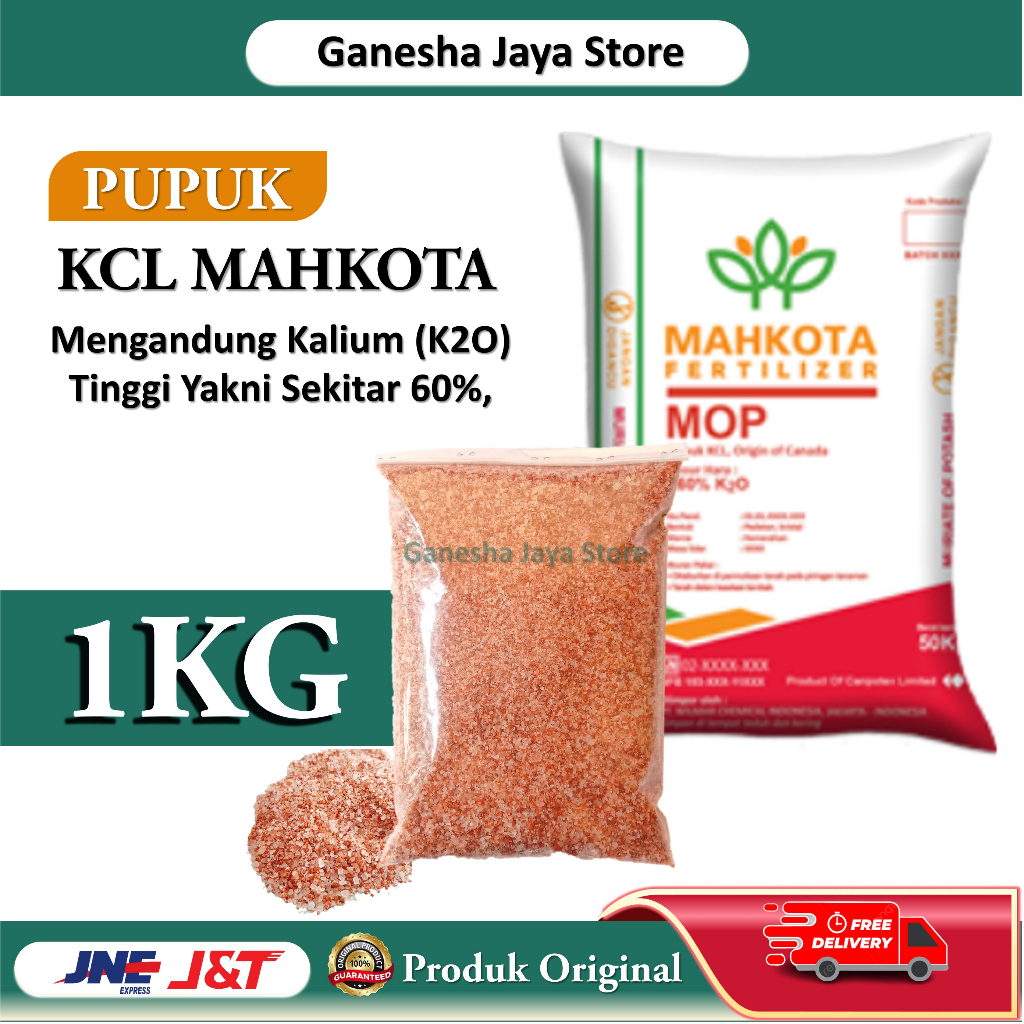 PUPUK KCL MAHKOTA (MOP) FERTILIZER REPACK 1KG PUPUK BUAH PUPUK PELEBAT BUAH PUPUK PERANGSANG BUAH