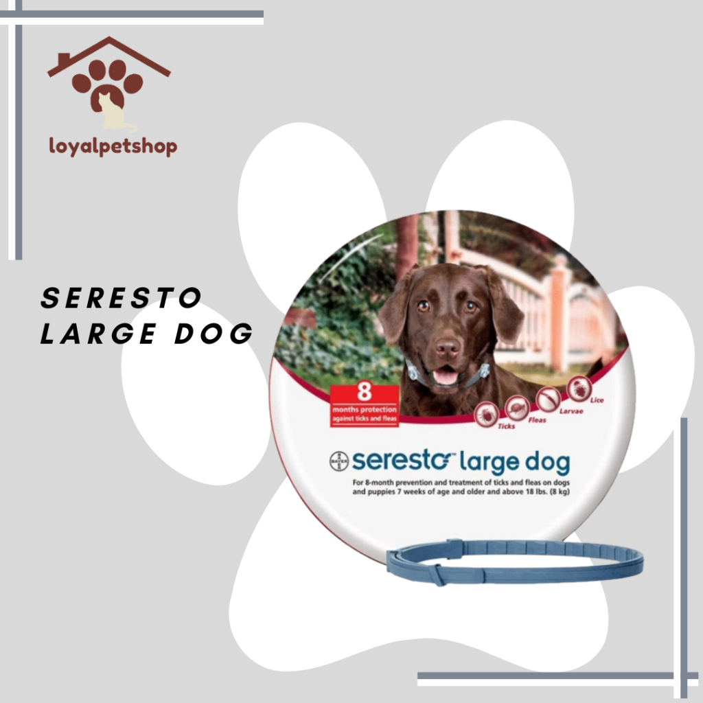 SERESTO DOG - KALUNG ANTI KUTU ANJING PROTEKSI 8 BULAN