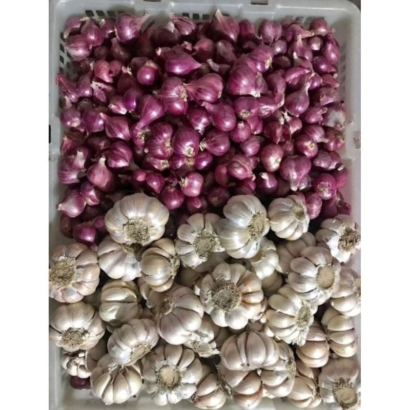 

bawang merah mix bawang putih