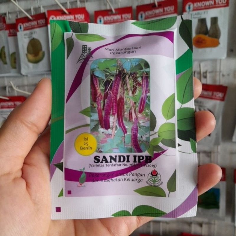 Benih Kecipir Ungu Sandi Ipb Isi 25biji