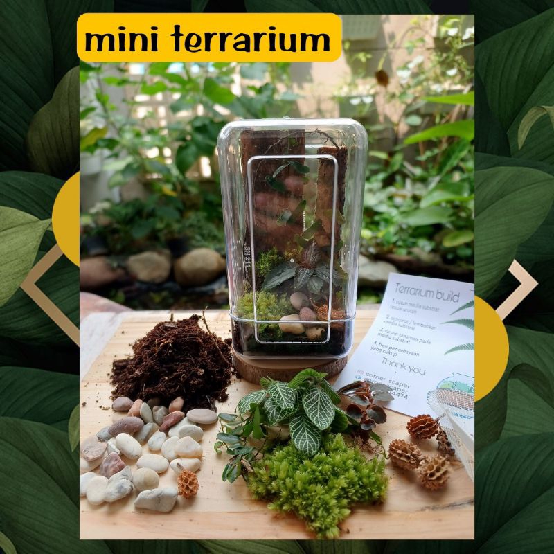 mini terrarium kit kandang jumping spider