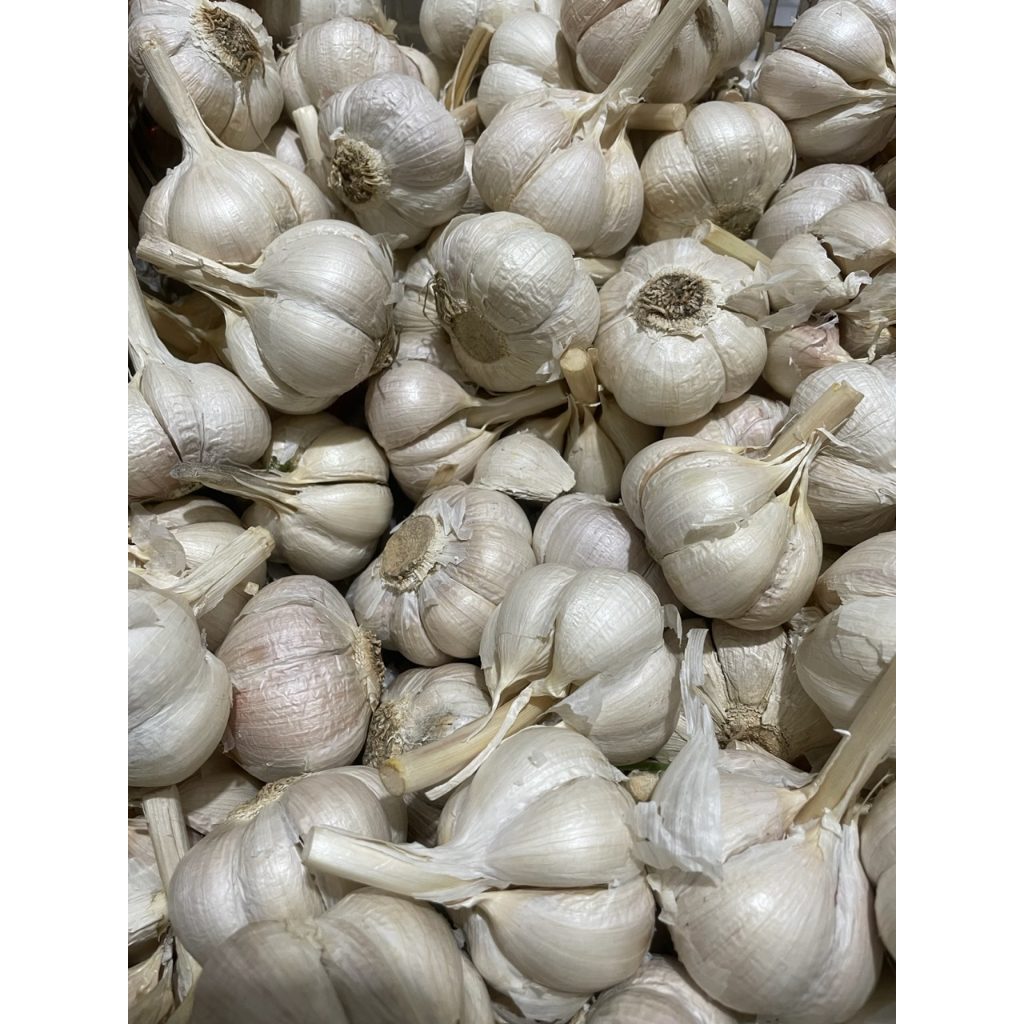 

Bawang Putih Kating 1kg