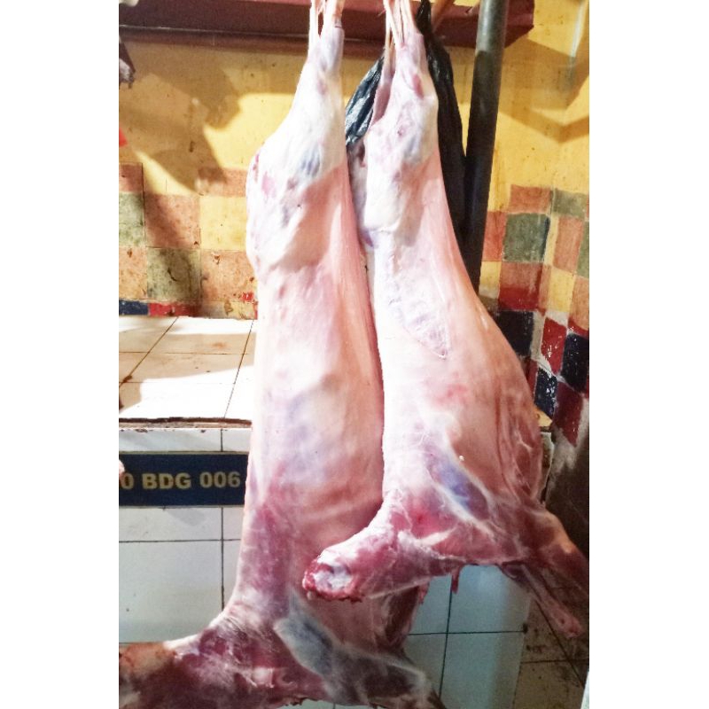 

Daging Kambing Karkas