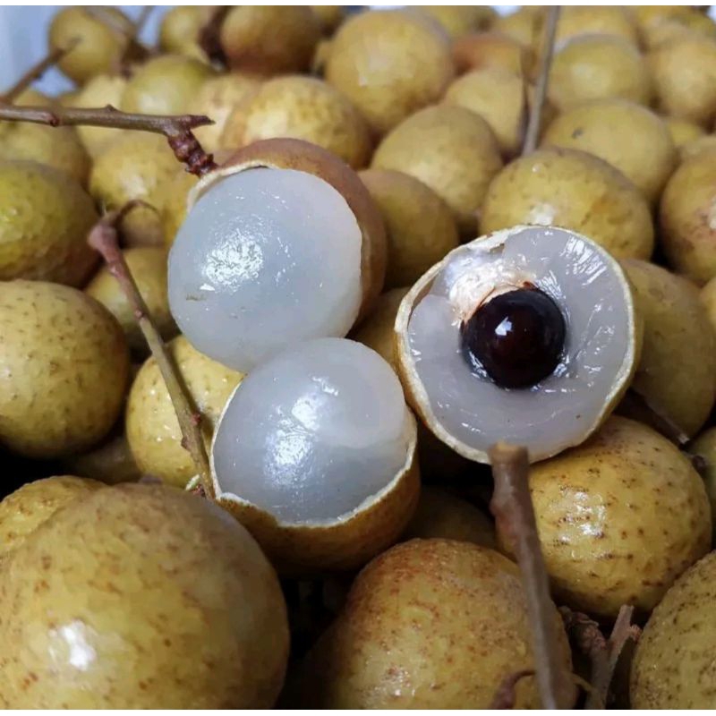 

Buah Kelengkeng Thailand, Kelengkeng Thailand (500g-1000g)