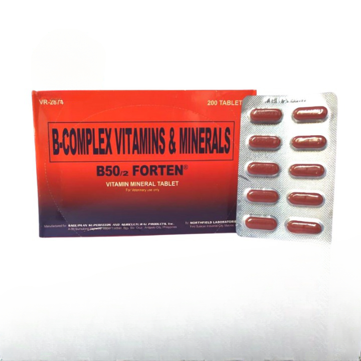 B50 Forten Original Ayam ORIGINAL