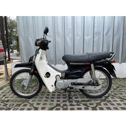 Striping Ori Astrea PRIMA