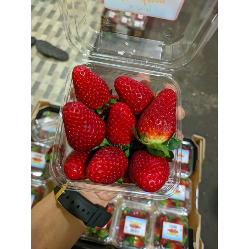 

Strawberry USA import TERMURAH!!