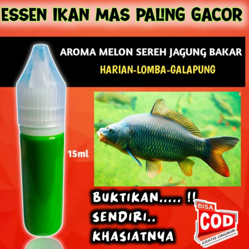 Essen Ikan Mas paling jitu untuk mancing lomba dan harian media umpan putih umpan pelet ,esen ikan m