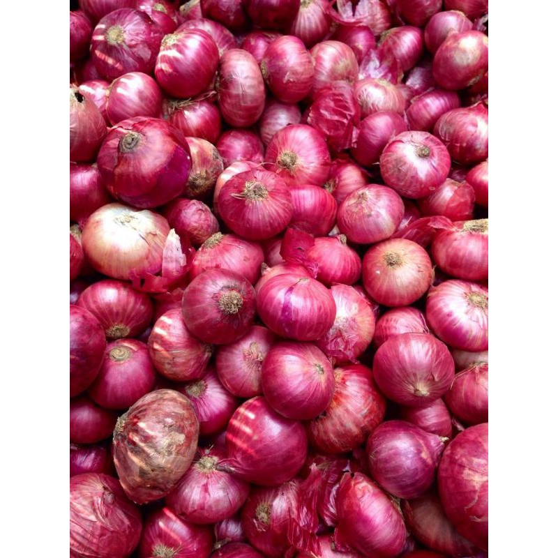 

BAWANG MERAH SEGAR 1KG