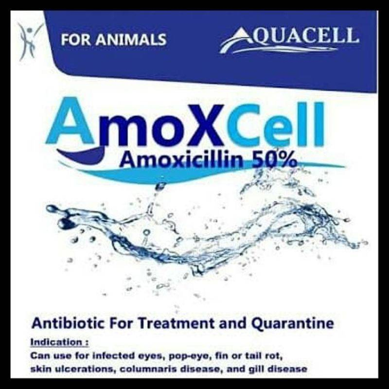 Amoxcell 10gr Obat Berbagai Penyakit Ikan Koi dan Ikan lainnya