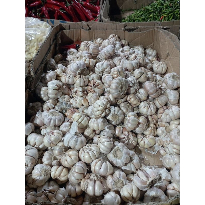 

bawang putih 500gr