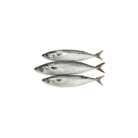 

Ikan Sarden Fresh - 500 Gram