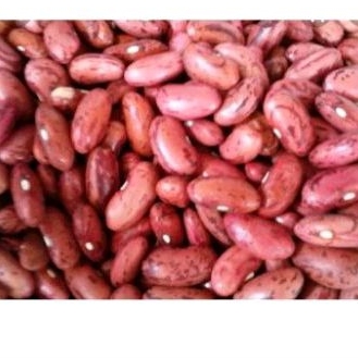 

KACANG MERAH KERING/KACANG RENDANG 500 GR