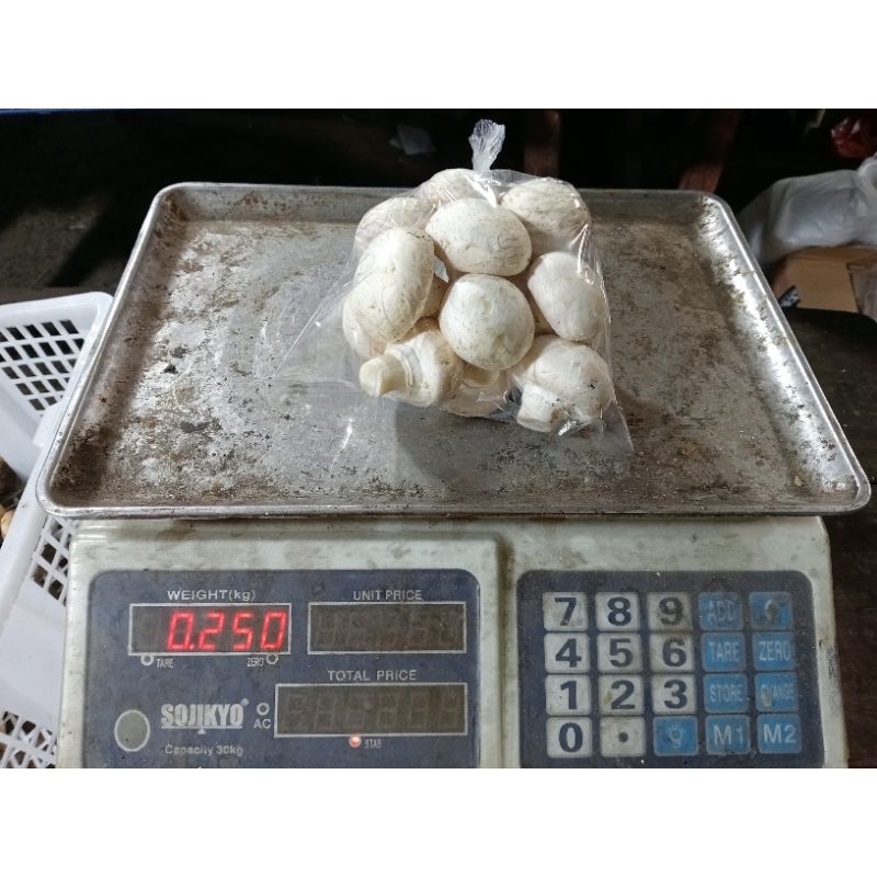 

jamur kancing /250gram