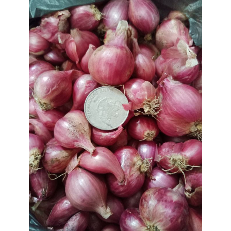 

Bawang merah lokal 1kg