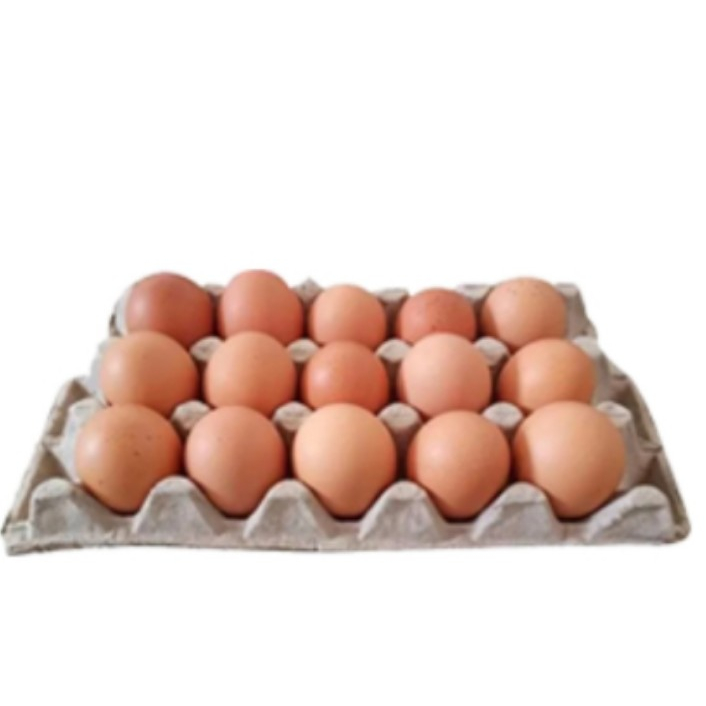 

Telur Negeri isi 15pcs