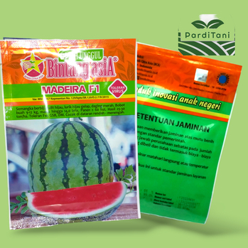 Benih Semangka Madeira 20gr