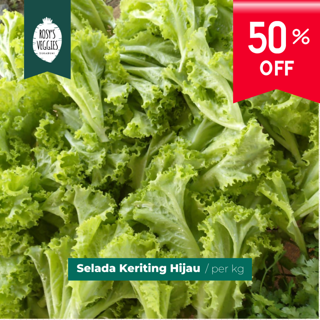 

Selada Keriting Hijau Organik | perkilogram