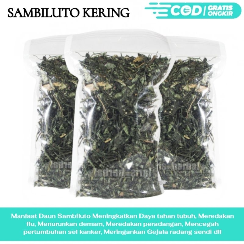 

RL SAMBILUTO/SAMBIROTO KERING 100gr