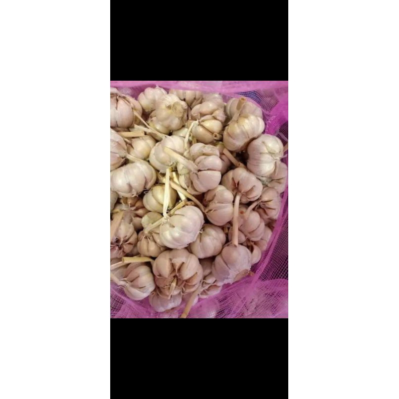 

Bawang putih 1/2kg