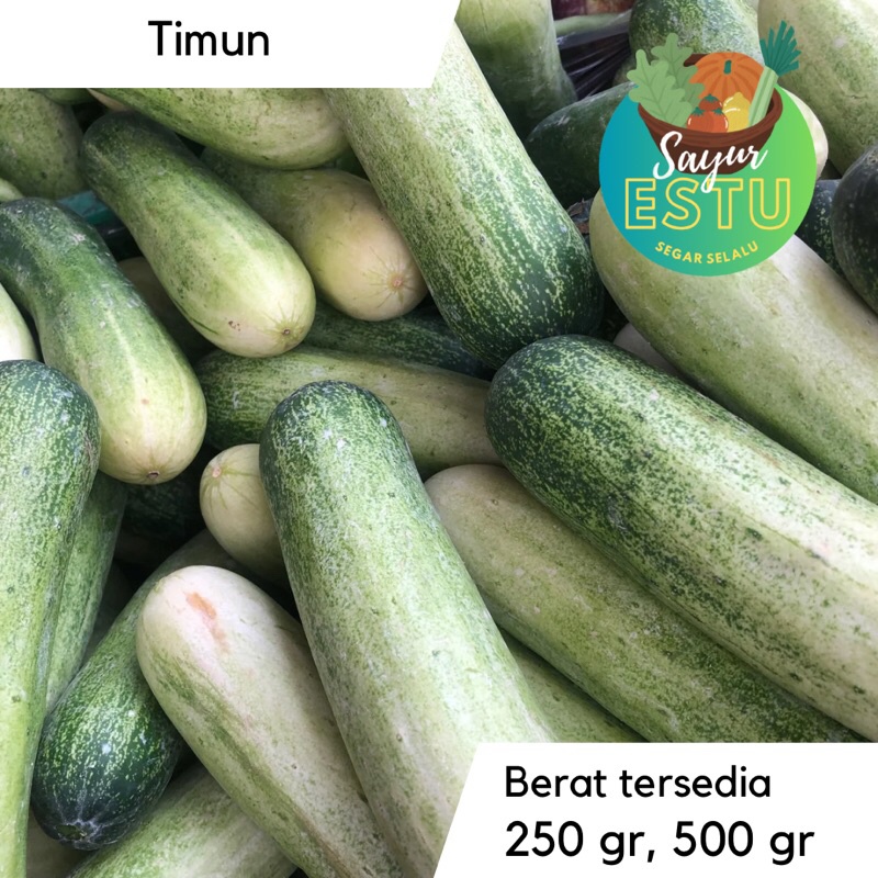 

Timun / Mentimun [GRATIS ONGKIR]