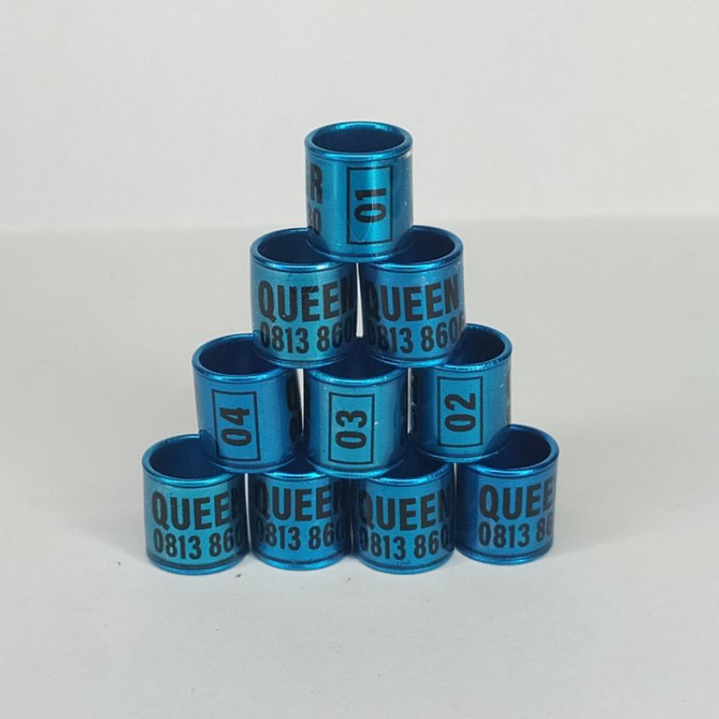 RING MERPATI REQUEST NAMA SENDIRI MODEL RODA TRANSPARAN BIRU