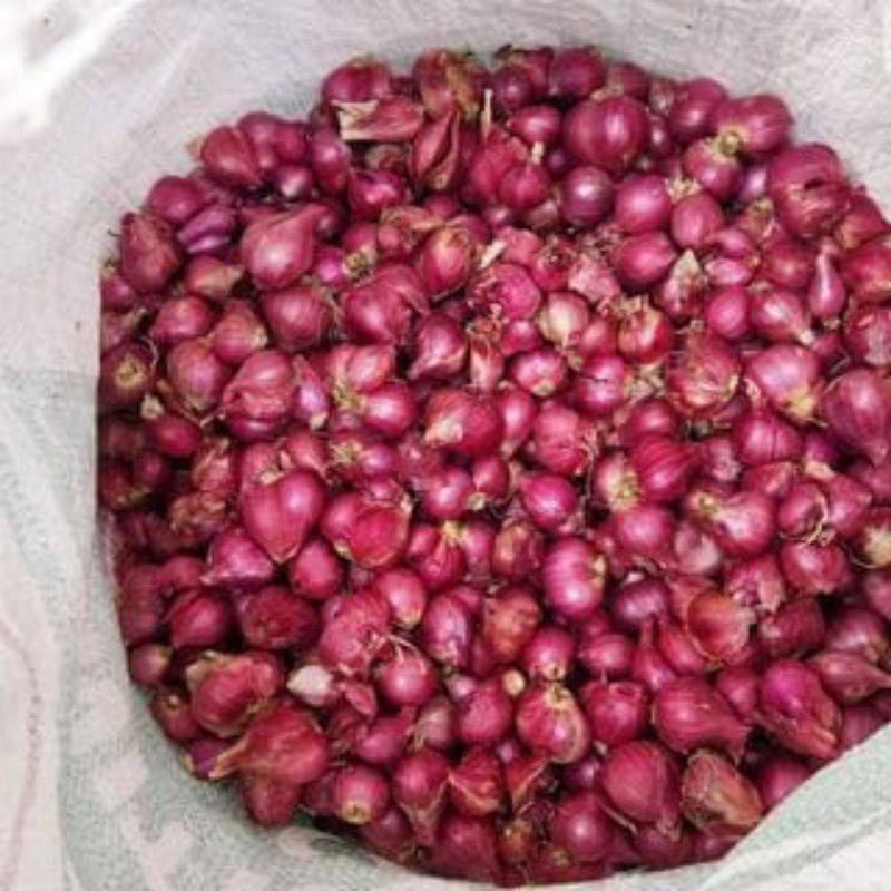 

Bawang merah